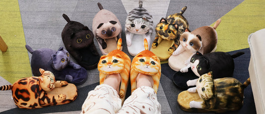 10 Cat Slippers