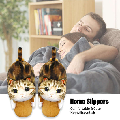 tabby cat slippers