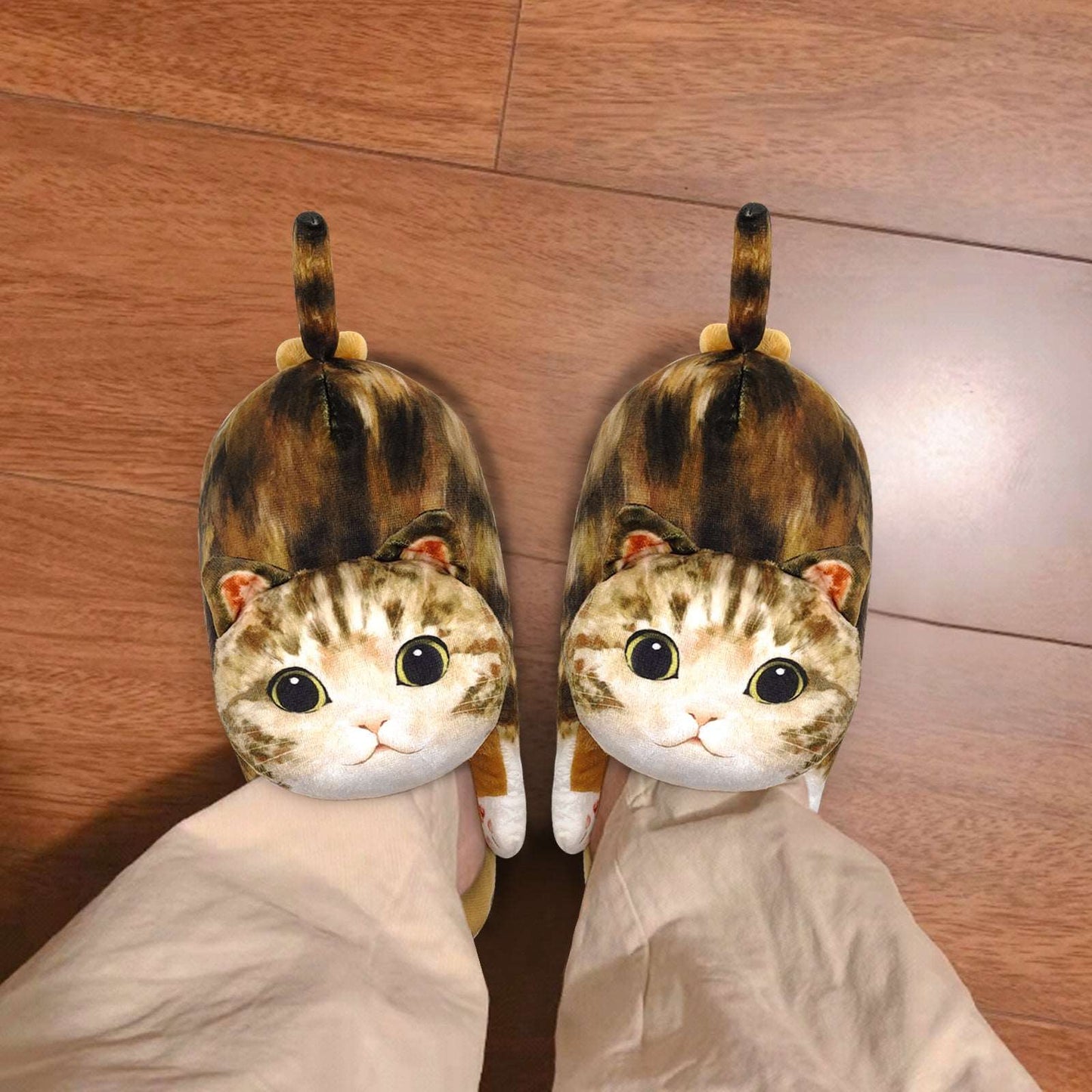 tabby cat slippers