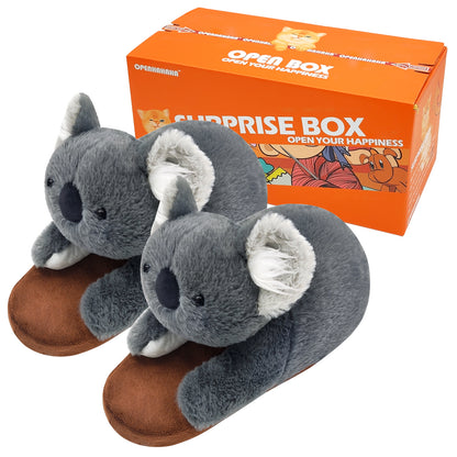 Koala slippers gift box