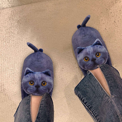 Blue cat slippers worn on feet