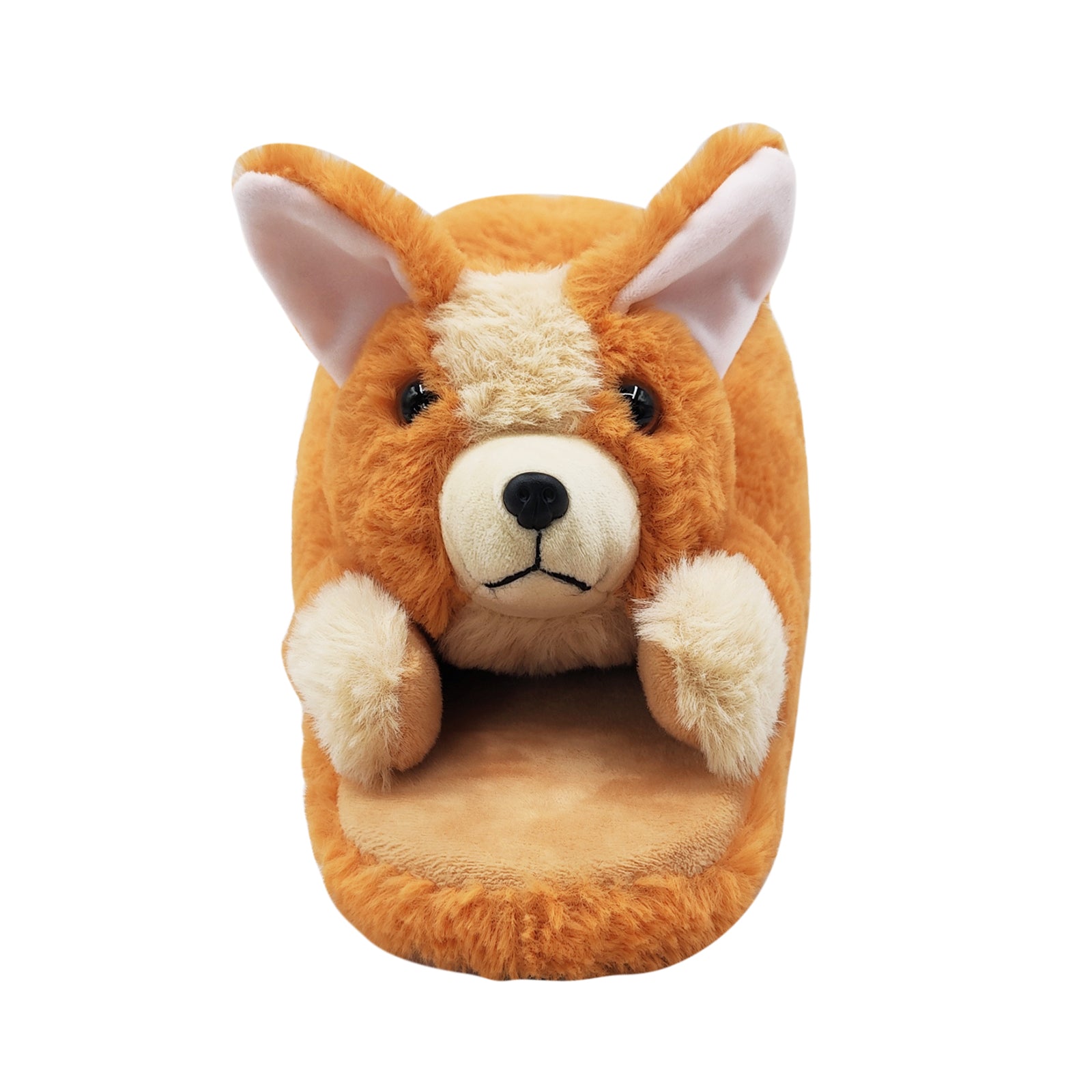 corgi slippers facial