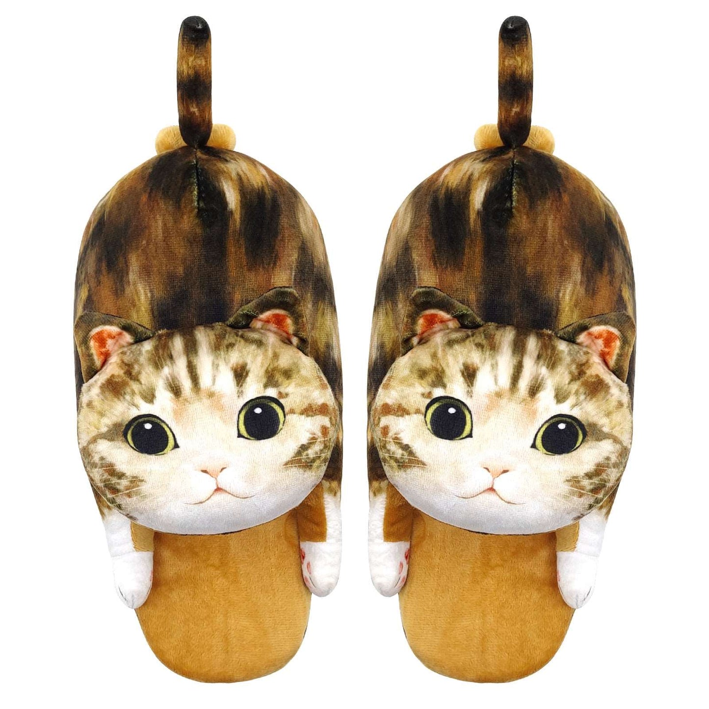 tabby cat slippers