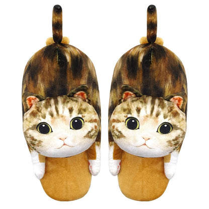 tabby cat slippers