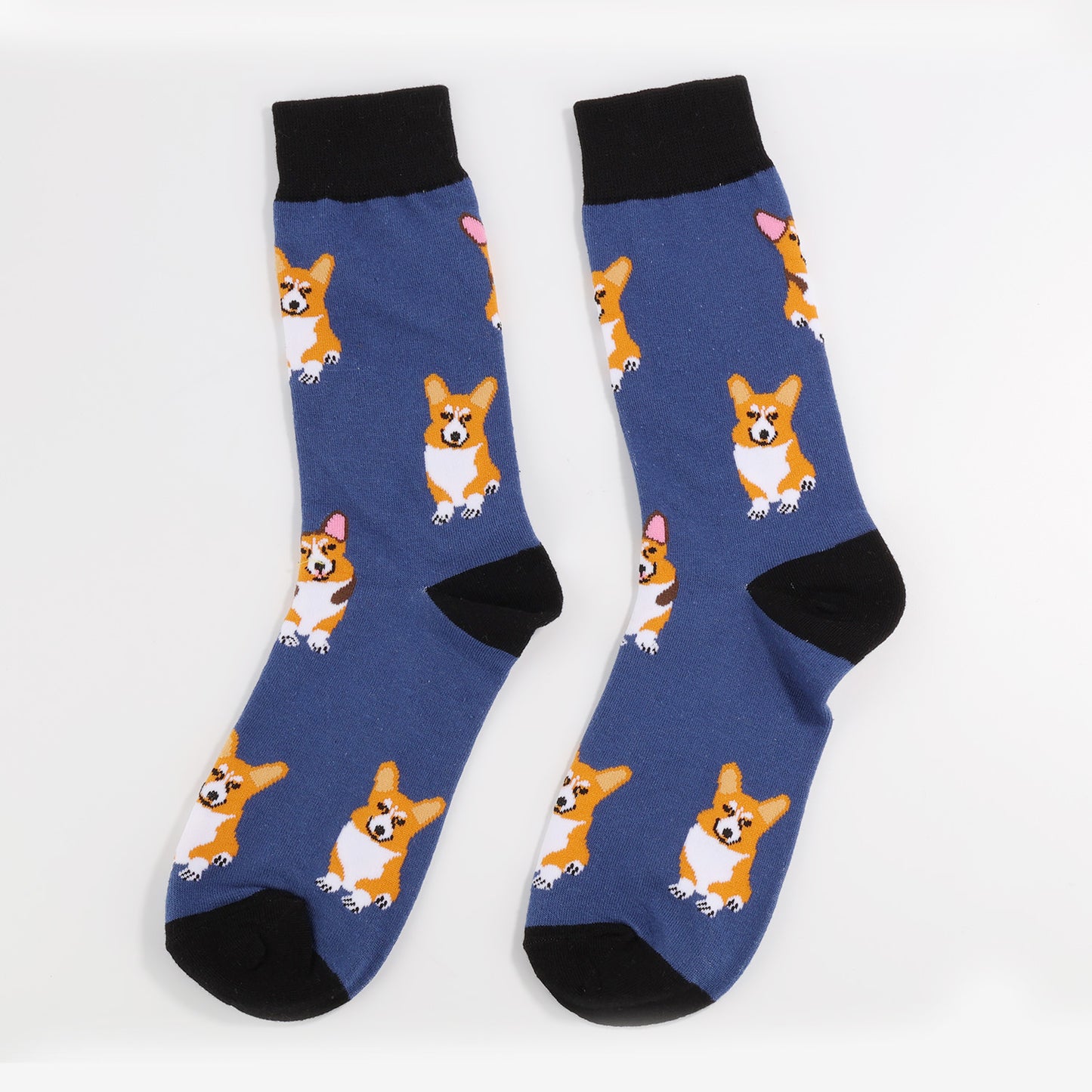 Corgi Socks-3