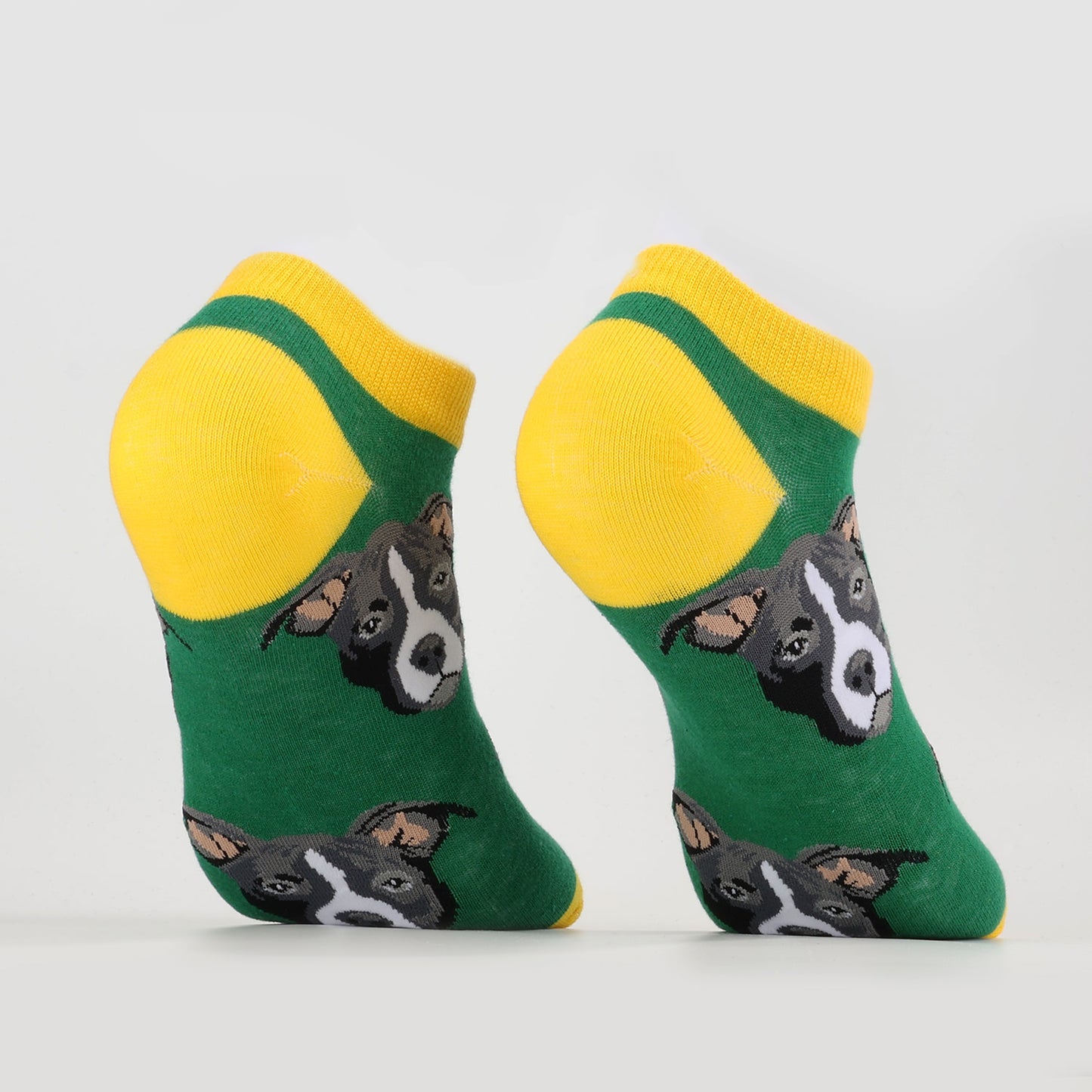 Funky Dog Socks-2